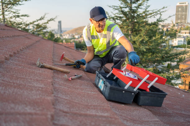 Best Storm Damage Siding Repair  in Homer, GA